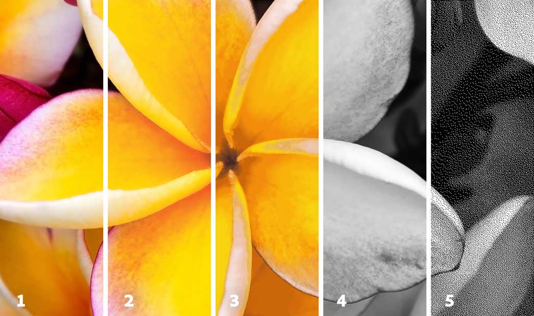 color modes example